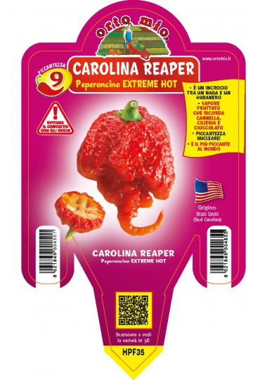 PIMIENTO CAROLINA REAPER