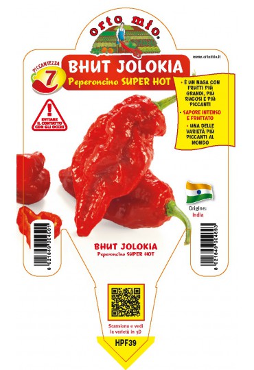 PIMIENTO SUPER CHUT JOLOKI