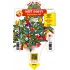 PIMIENTO HOT DAISY M 14