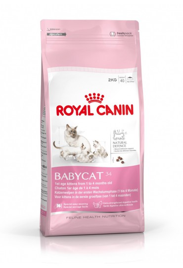 ROYAL FELINE BABYCAT 34