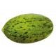 MELON PIEL DE SEPO