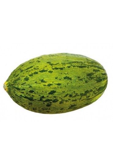 MELON PIEL DE SEPO