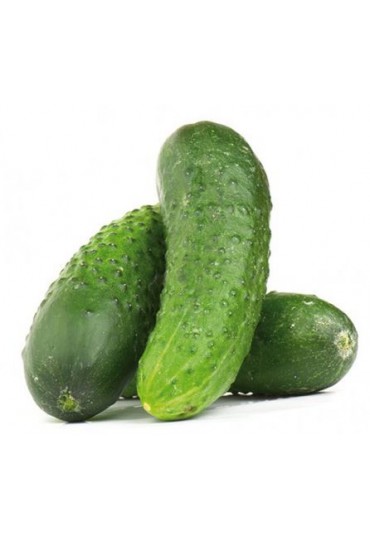 PEPINO ESPAÑOL