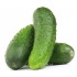 PEPINO ESPAÑOL