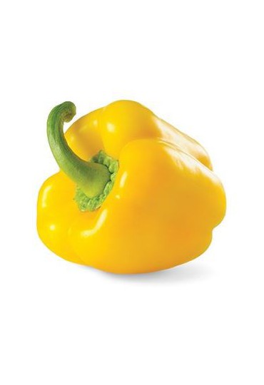 PIMIENTO CALIFORNIA AMARILLO