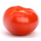 TOMATE JACK