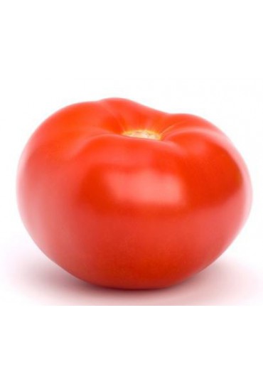 TOMATE JACK