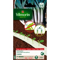 VILMORIN CINTAS SEMILLA PUERRO FUROR 2X2,5CM