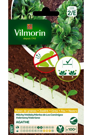 VILMORIN CINTA HIERBA DE LOS CANONIGOS AGATHE 2X2,5CM 