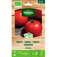 VILMORIN SEMILLAS DE TOMATE BIO MATINA