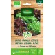 VILMORIN SEMILLAS LECHUGA DE CORTAR MEZCLA BIO