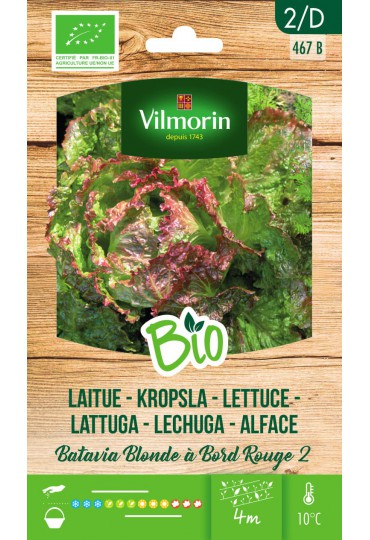 VILMORIN SEMILLAS LECHUGA BATAVIA ICEBERG 2 BIO