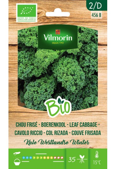 VILMORIN SEMILLA COL RIZADA (KALE) BIO