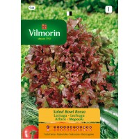 VILMORIN SEMILLAS LECHUGA RED SALAD BOWL