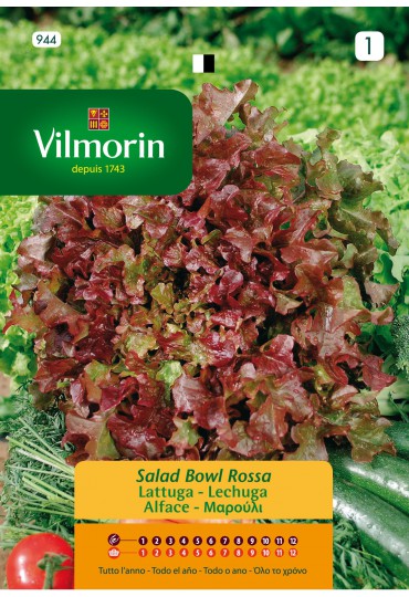 VILMORIN SEMILLAS LECHUGA RED SALAD BOWL