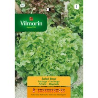 VILMORIN SEMILLAS DE LECHUGA BOWL 