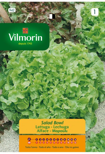 VILMORIN SEMILLAS DE LECHUGA BOWL 