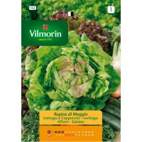 VILMORIN SEMILLAS DE LECHUGA REINA DE MAYO