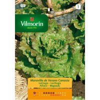 VILMORIN SEMILLA LECHUGA MAR DE VERANO