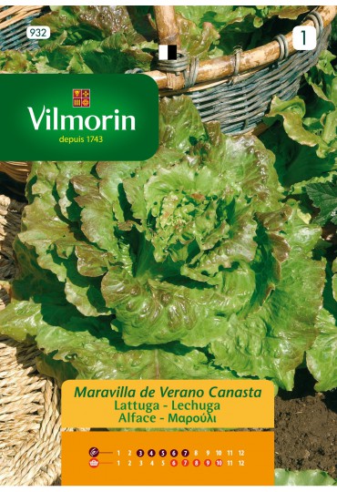 VILMORIN SEMILLA LECHUGA MAR DE VERANO