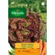 VILMORIN LECHUGA MARAVILLA CUATRO ESTACIONES