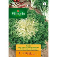 VILMORIN SEMILLAS ESCAROLA DE HOJA RIZADA MEAUX