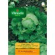 VILMORIN SEMILLAS LECHUGA GRANDES LAGOS