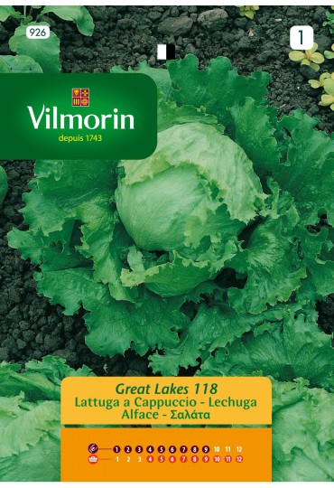 VILMORIN SEMILLAS LECHUGA GRANDES LAGOS