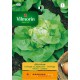 VILMORIN SEMILLAS LECHUGA ATTRAZIONE