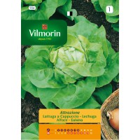 VILMORIN SEMILLAS LECHUGA ATTRAZIONE