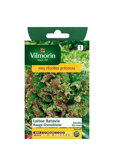 VILMORIN SEMILLAS LECHUGA ROUGE GRENOBLE