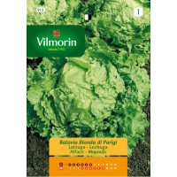 VILMORIN SEMILLA LECHUGA B AMARILLA PARIS