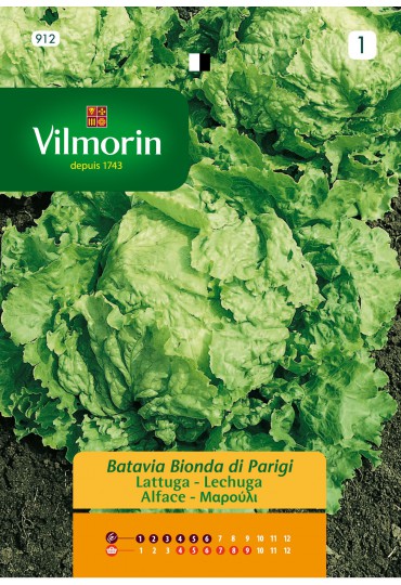 VILMORIN SEMILLA LECHUGA B AMARILLA PARIS