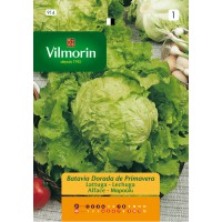 VILMORIN SEMILLA LECHUGA B DORADA PRIMAVERA