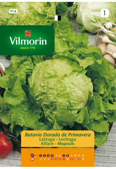 VILMORIN SEMILLA LECHUGA B DORADA PRIMAVERA