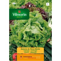 VILMORIN SEMILLA DE LECHUGA PIERRE BENITE