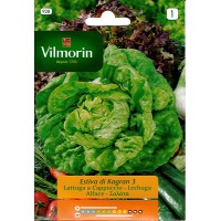 VILMORIN SEMILLA LECHUGA KAGRANER SOMMER