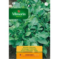 VILMORIN SEMILLAS DE JARAMAGO (RUDA-RUCULA)