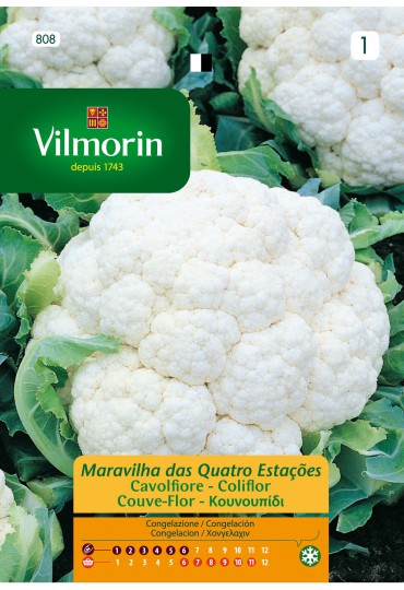 VILMORIN SEMILLA COLIFLOR CUATRO ESTACIONES