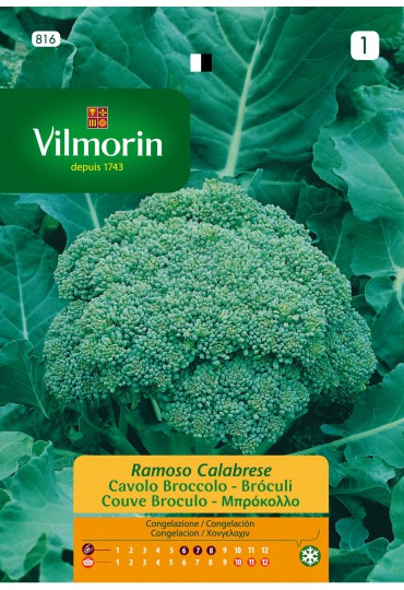 VILMORIN SEMILLA BROCULI RAMOSO CALABRESE