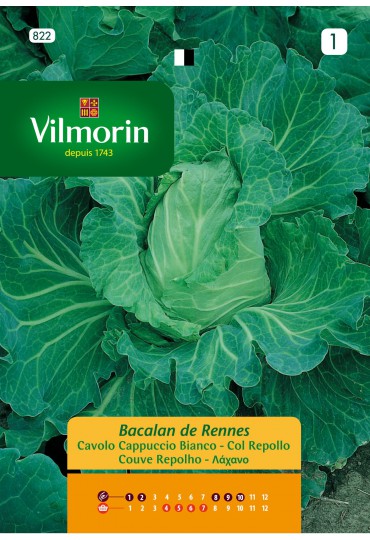 VILMORIN SEMILLAS COL REPOLLO BACALAN