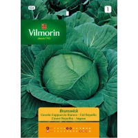 VILMORIN SEMILLAS COL REPOLLO BRUNSWICK