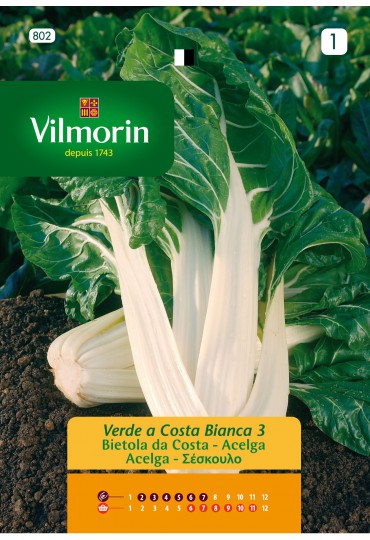 VILMORIN SEMILLA ACELGA VERDE PENCA BLANCA 3