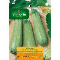 VILMORIN SEMILLA CALABACÍN GENOVESE