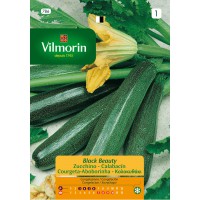 VILMORIN SEMILLA CALABACÍN BLACK BEAUTY