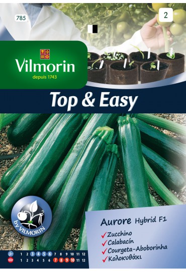 VILMORIN SEMILLAS DE CALABACIN AURORE