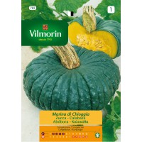 VILMORIN SEMILLAS DE CALABAZA MARINA CHIOGIA