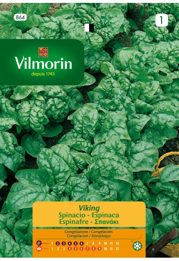 VILMORIN SEMILLAS ESPINACA VIKING