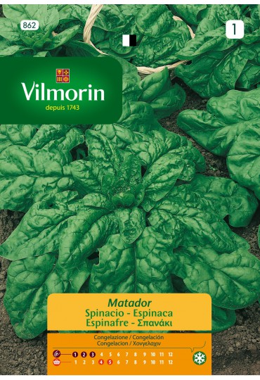 VILMORIN SEMILLAS ESPINACA MATADOR