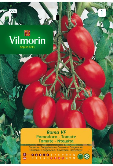 VILMORIN  SEMILLA TOMATE ROMA